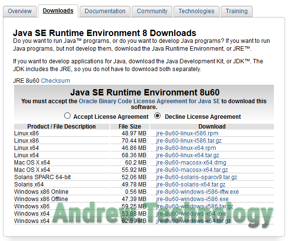 Java se runtime environment 8u60